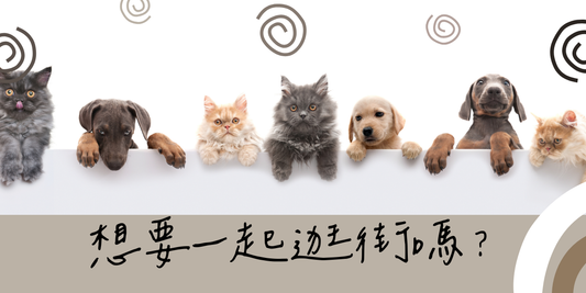如何用AI節省產品上架時間，有時間帶上心愛的毛小孩去逛街！！
