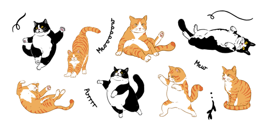 🐱😺【貓咪翻肚=想被摸？錯錯錯！小心這個大誤會⚠️】